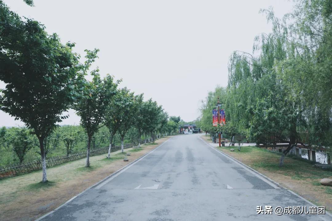 空港运动公园游玩攻略,空港体育公园是空港花田吗