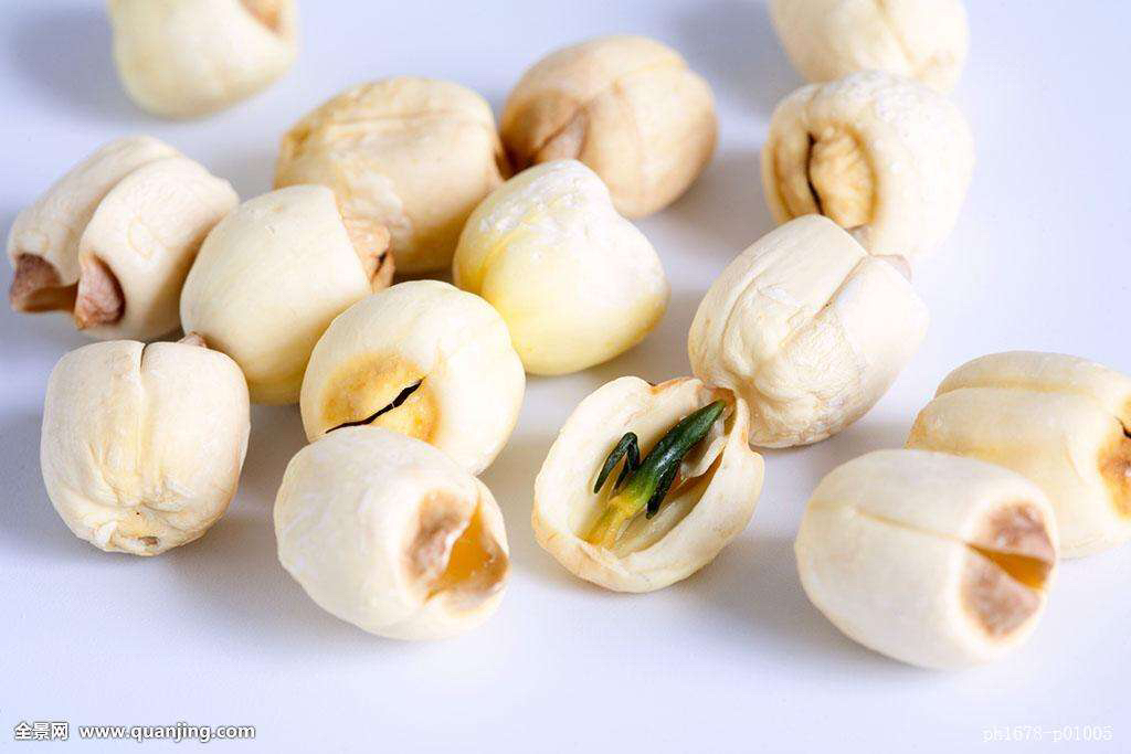 中药材莲子价格,中药材莲子产地