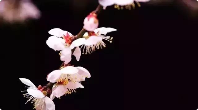 猜字谜看看你能猜到几个,160个趣味字谜