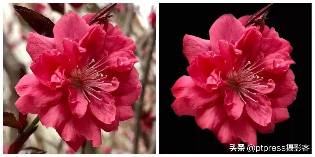 你还在随手拍，他已经凭手机摄影坐拥400万粉丝！（文末有彩蛋）