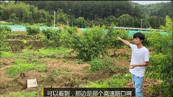 当今农村人靠什么可以致富,农村小伙发家致富的真实经历