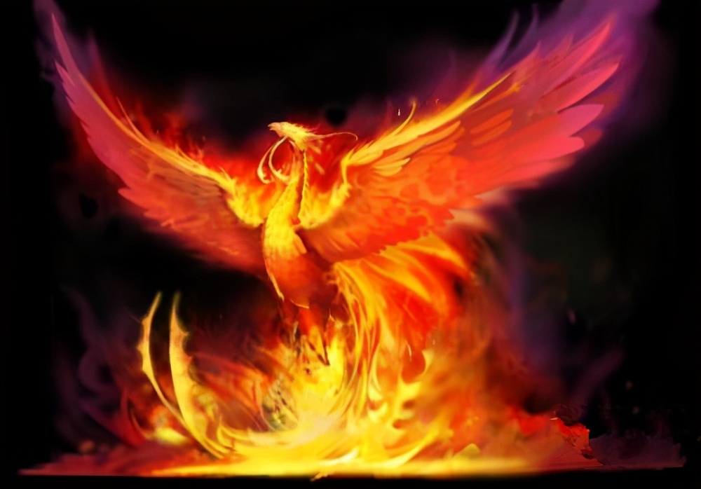 凤凰重生就是涅盘下句是什么,凤凰重生就是涅盘图