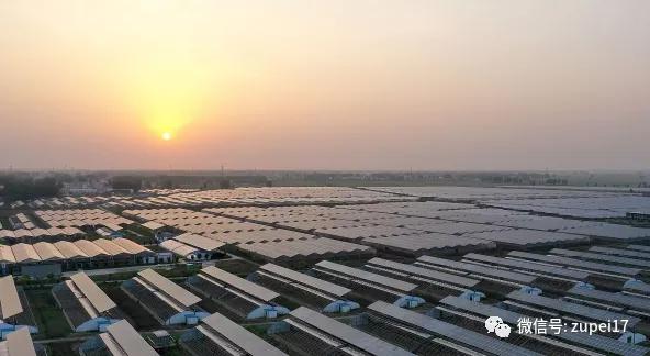 小型温室大棚用什么样的大棚,塑料大棚对比玻璃大棚