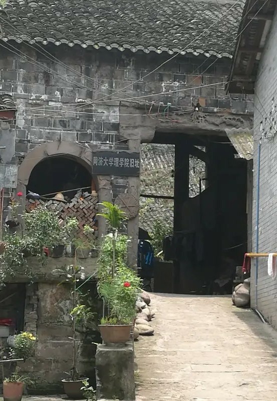 我的中国心中文版,我的中国心全集