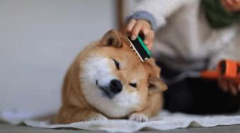 过敏性鼻炎反反复复？每天坚持按揉迎香穴，增强鼻粘膜抵抗力！