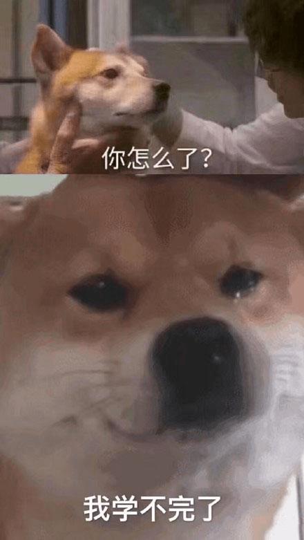 天价考研培训班,考研天价辅导班真的有用吗