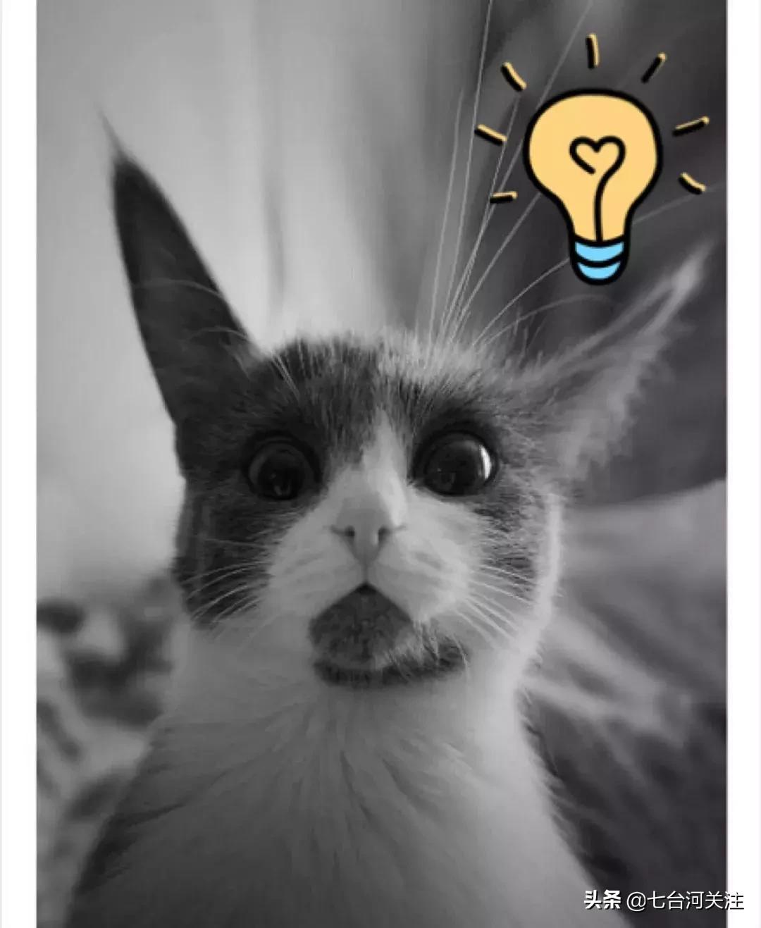 医保个人账户共济授权后如何取消,职工医保个人账户取消是什么意思