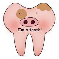 牙齿真的会影响以后的运势吗,人有多少颗牙齿影响命运