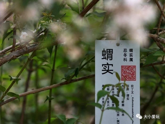 北京遛娃网红打卡地,北京又添一波遛娃新去处