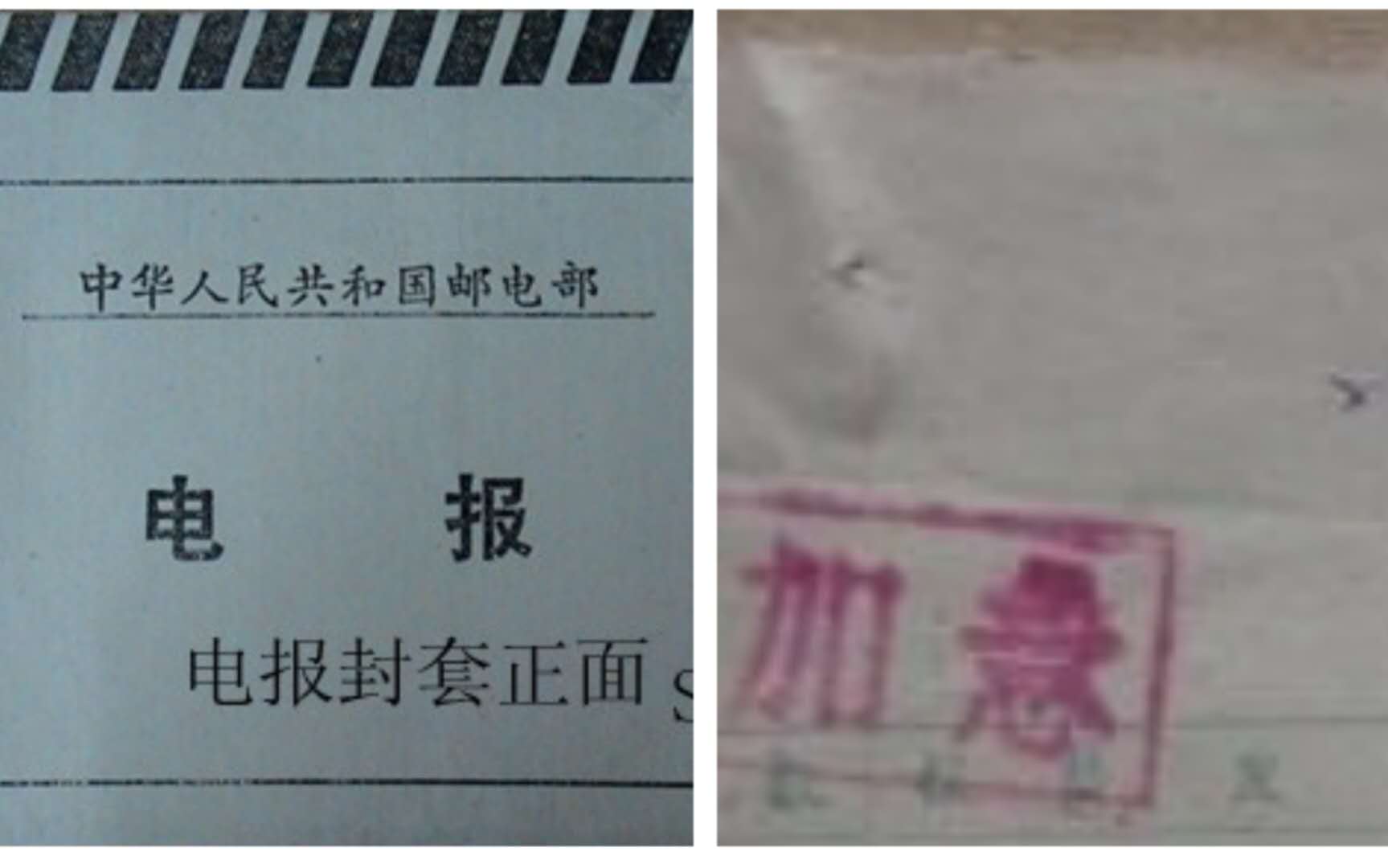 母亲的遗憾作文,母亲的遗憾有哪些