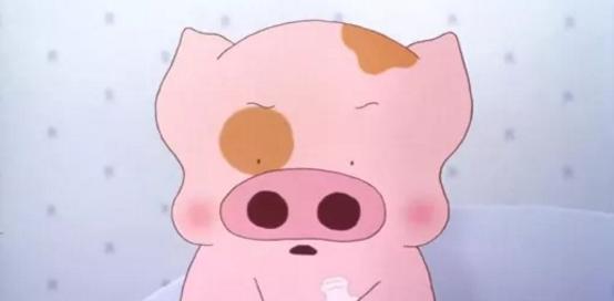 麦兜周岁,麦兜的生日