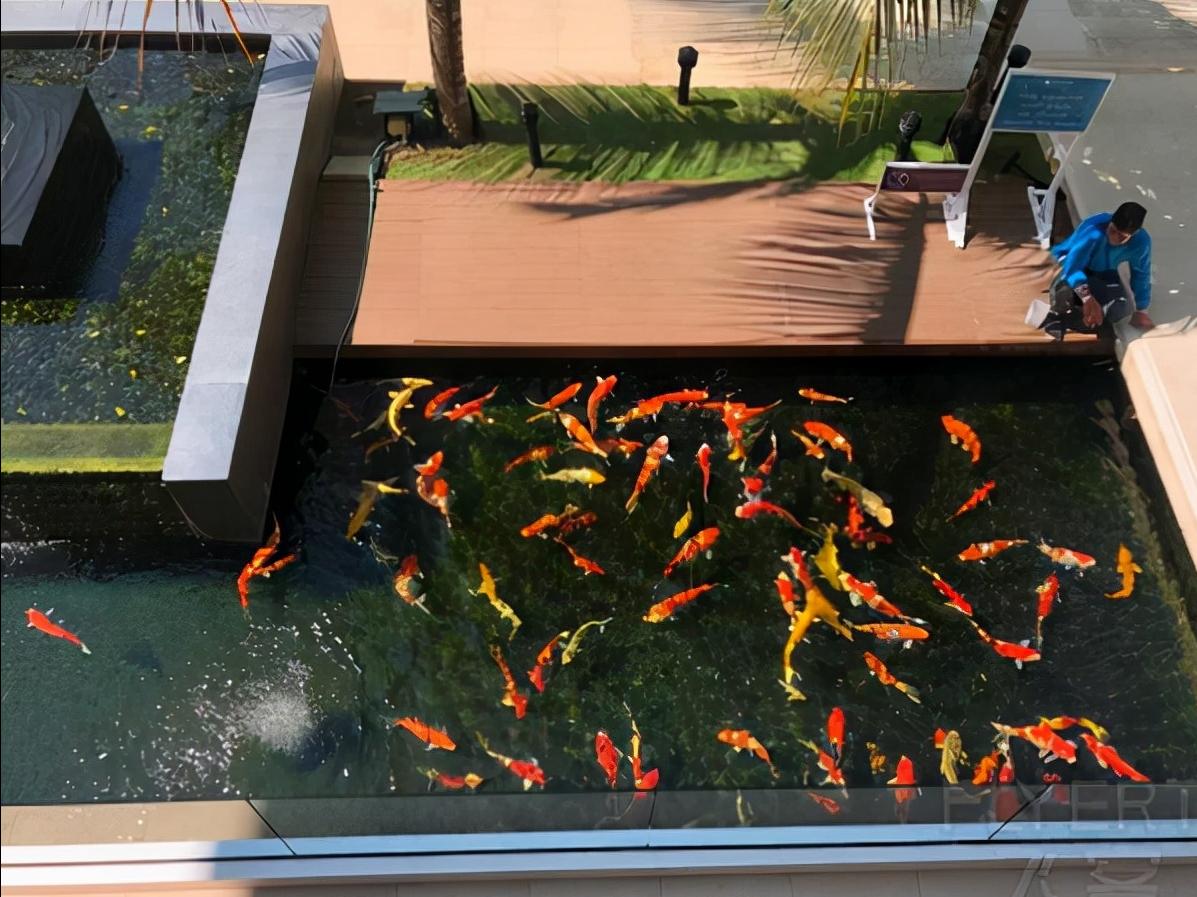 宿务酒店订一日游,宿务岛酒店推荐