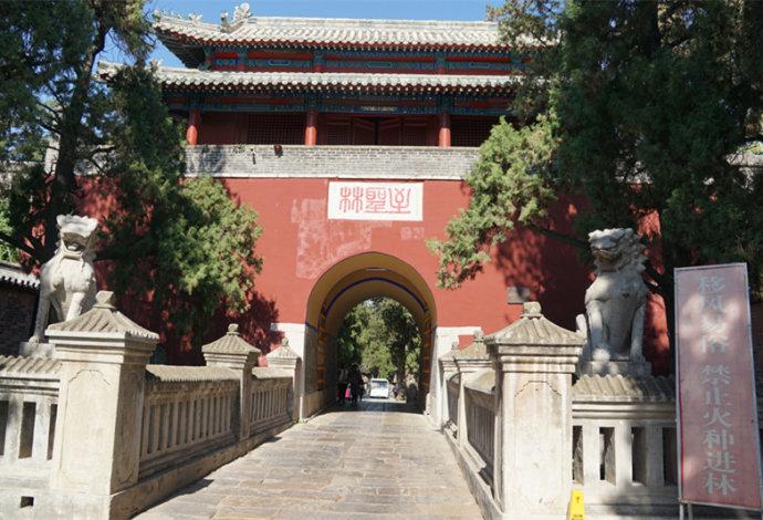 孔林是最大的氏族墓地吗,孔林最大墓葬群