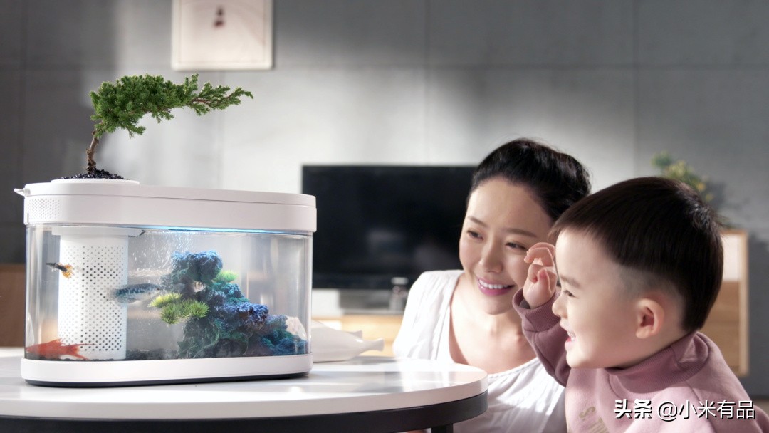 小米两栖生态鱼缸图片,小米生态小鱼缸
