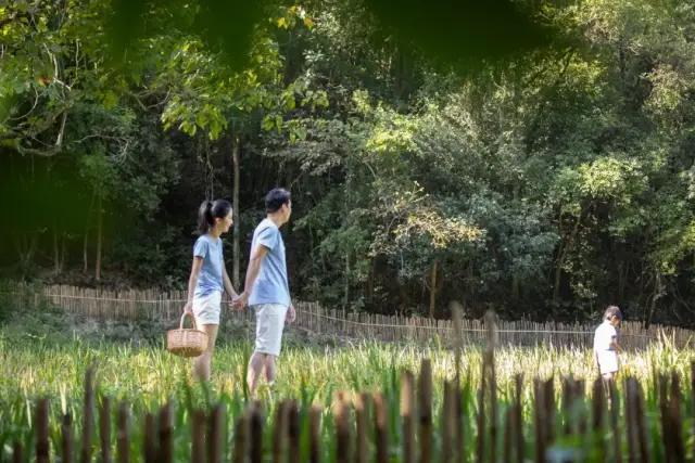 世外桃源亲子游玩好去处,近期广州既安全又好玩的亲子去处