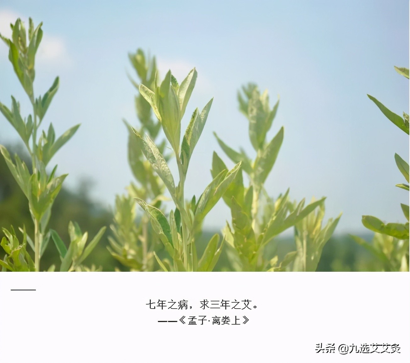 艾灸上火如何引火下行,倪海厦讲艾灸上火引火下行的视频