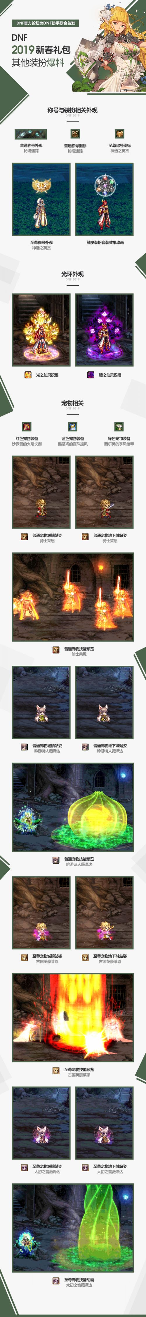 2019年dnf春节礼包宠物附魔叫什么,DNF2020春节套宠物外观一览