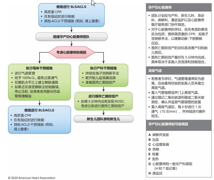 孕妇心脏跳动过快急救方法,孕妇心脏骤停抢救时的按压体位