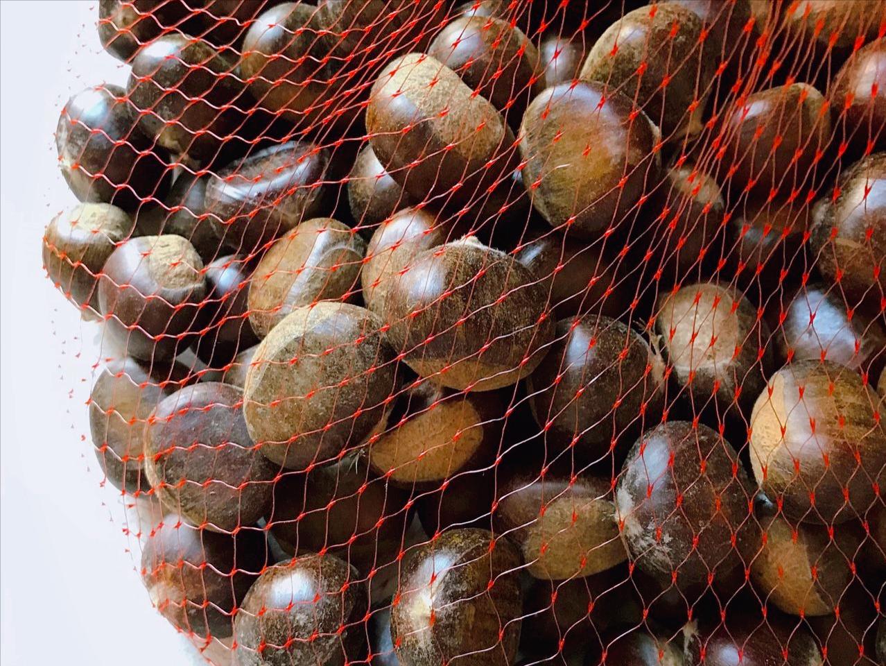 板栗去壳怎么才能快速剥皮,板栗怎么快速剥皮不需要任何工具