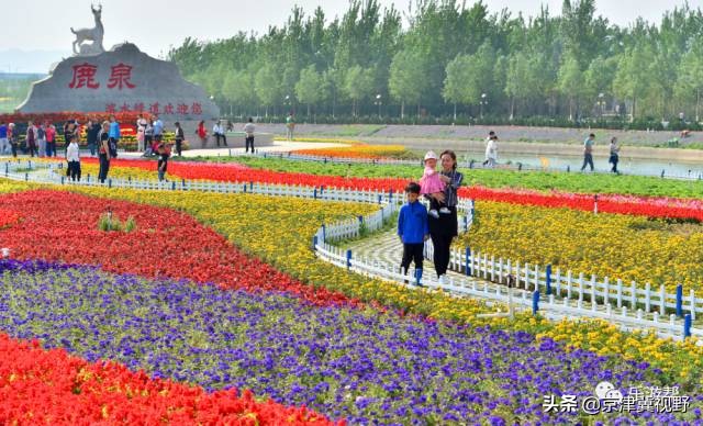 石家庄鹿泉区的房子升值潜力大,鹿泉未来最好地段