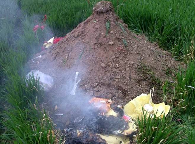 孩子一生下来就死了，托梦给妈妈说想喝蛇汤，妈妈想杀蛇时愣住了