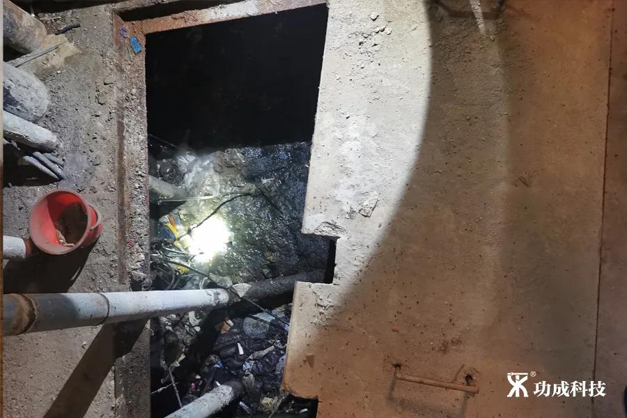 卫生间有小虫蛾蚋怎么治,卫生间出现蛾蚋怎么处理