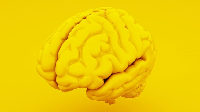 青少年体育训练总结,青少年体育锻炼分析