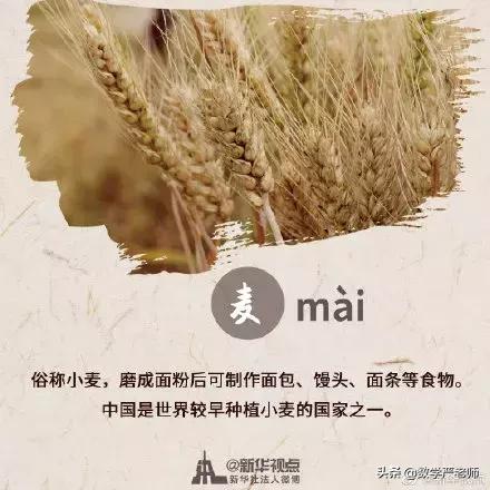 中国农民丰收节秋分节气同一天,农历秋分日为中国农民丰收节