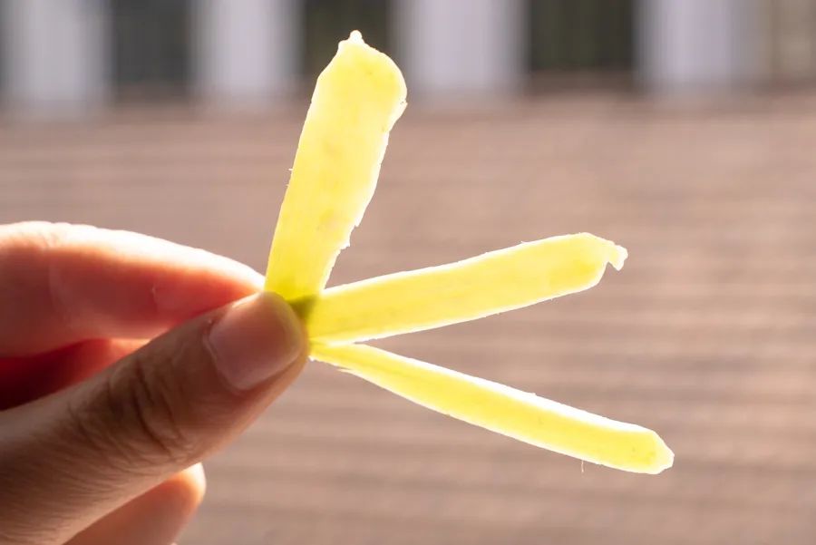 10种你想不到的水果,8种你从未听说过的最独特的水果