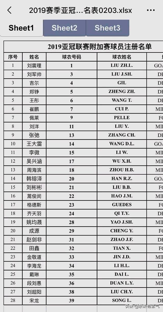 鲁能佩莱塔尔德利格德斯,鲁能7号球衣最新消息