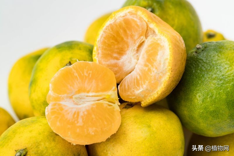 柑橘太酸了怎么办,柑橘降酸