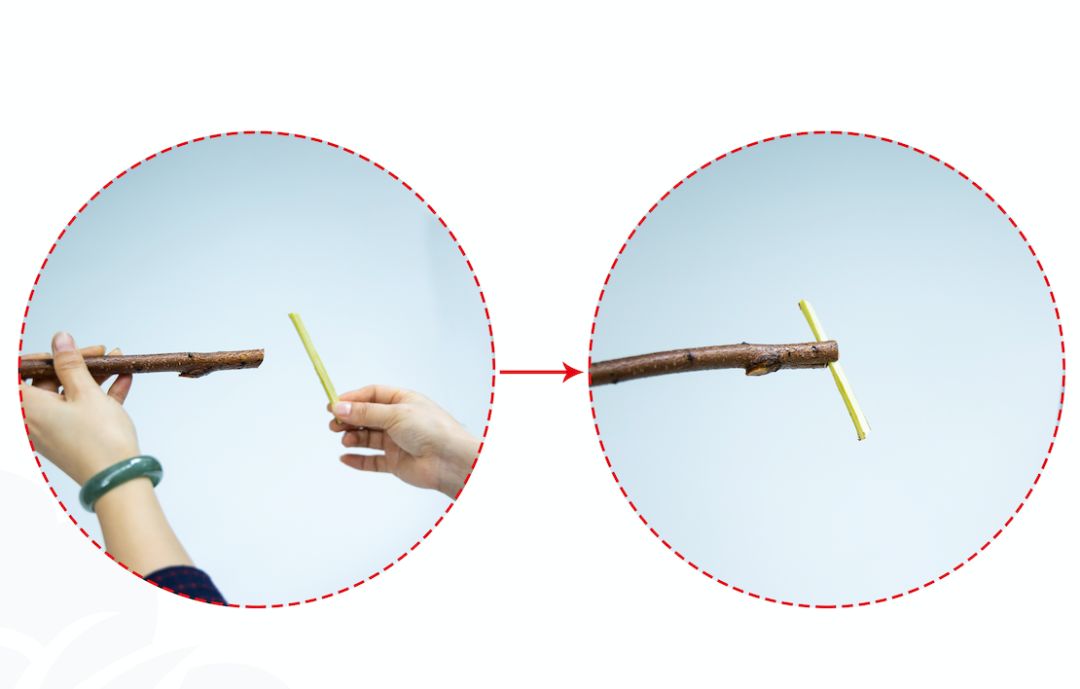 小原流旋转式插花入门知识,日式小原流直立插花图片