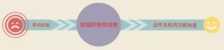 筋膜增肌的正确方法,无论是减脂还是增肌