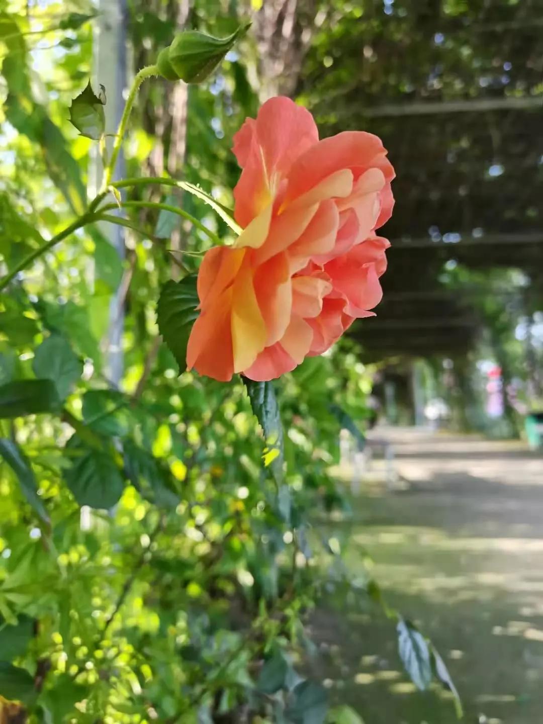 汉川5天周边游攻略,汉川徒步旅游攻略一日游