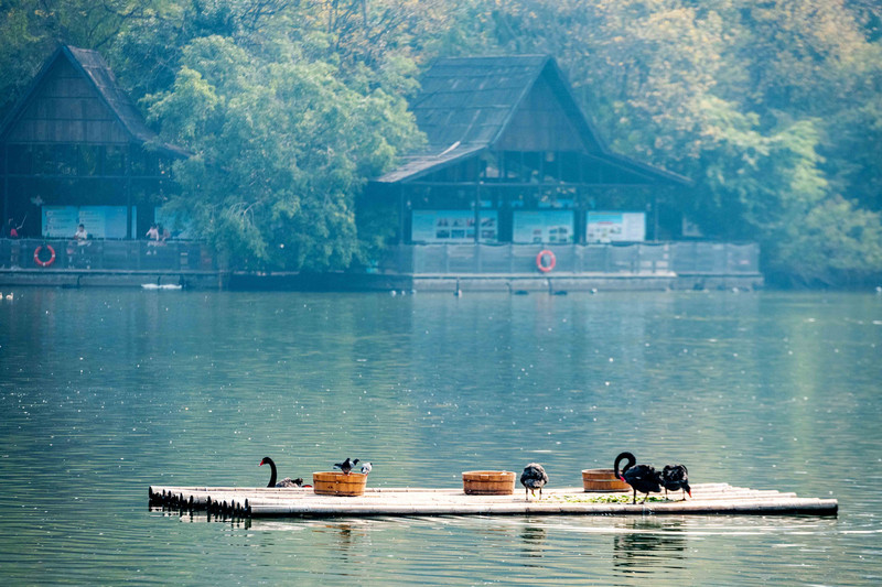 离广州长隆最近的海滩景点,长隆海洋世界王国必打卡景点