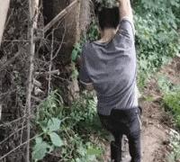 搞笑gif趣图姑娘有话好好说别动手,开心一刻gif搞笑动图