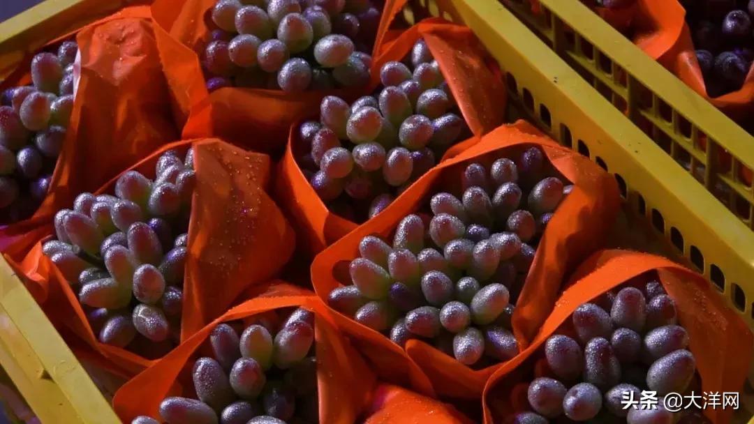 广州市水果市场热闹吗,广州市场有什么水果