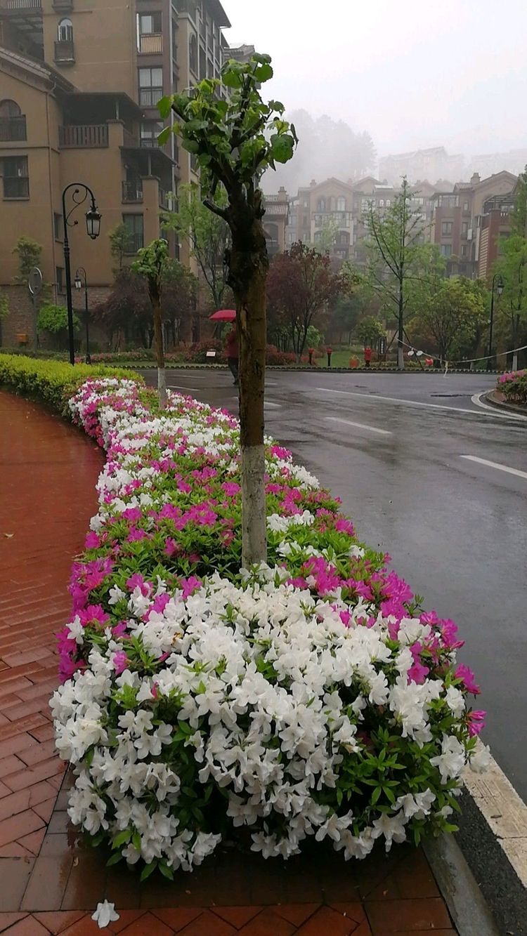 重庆避暑凉快的地方,重庆人都去贵州哪里避暑最好