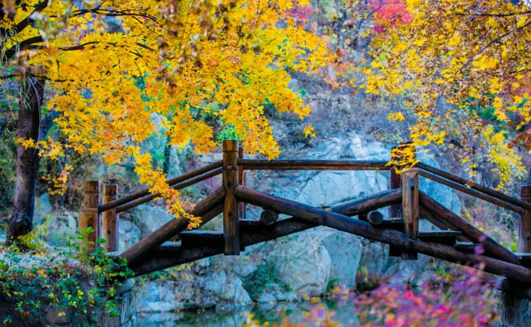 济南免费周末遛娃玩水好去处,济南亲子公园游玩地点推荐