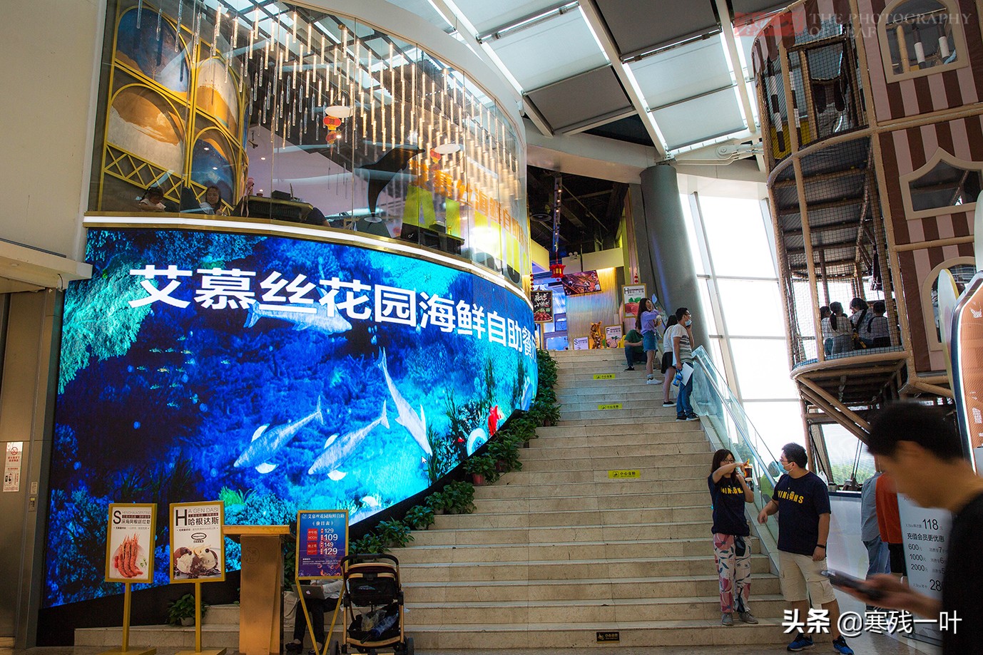 杭州蓝鳍金枪鱼自助,杭州金枪鱼自助