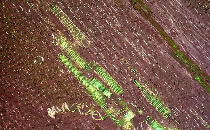 微观世界大自然,微观世界的神奇视频