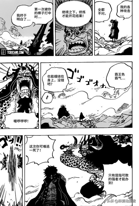 海贼王1010话大将黄猿,海贼王1030话情报路飞与凯多