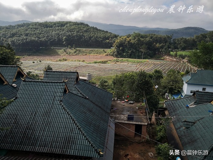 布朗弹唱情歌对唱,布朗弹唱