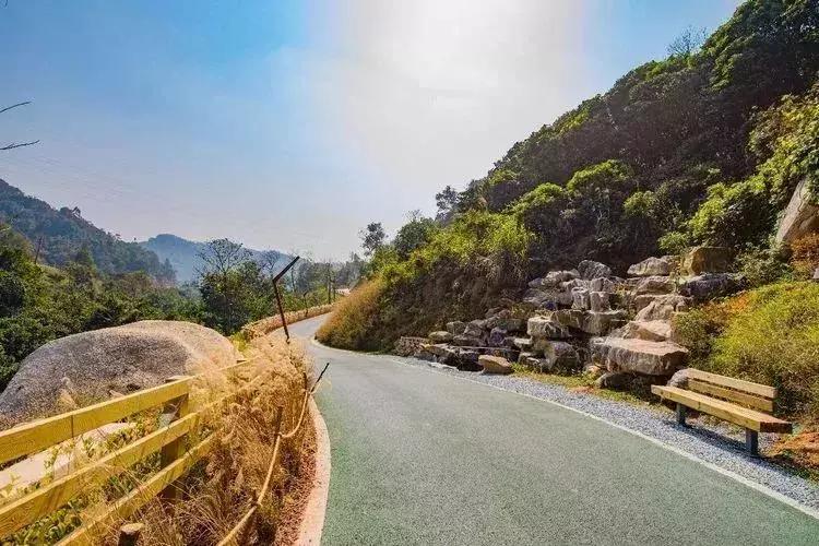 羊台山风景视频大全,深圳羊台山哪里风景最好