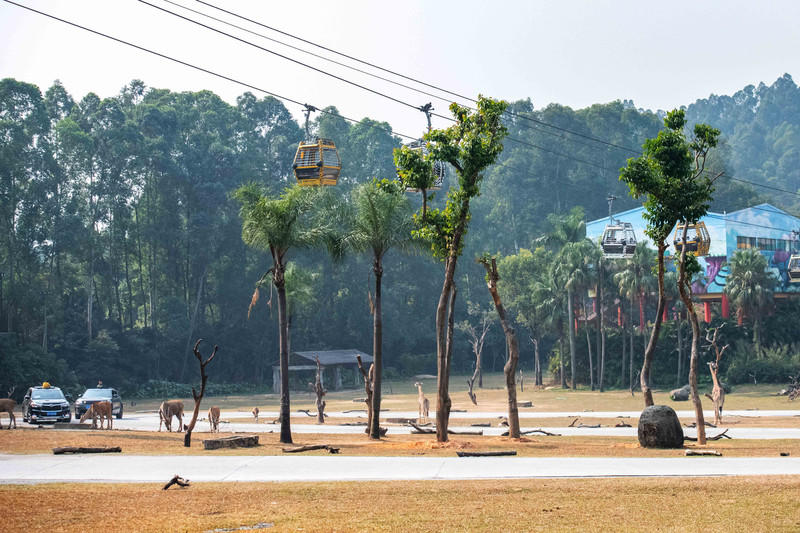 广州长隆野生动物世界的游玩攻略,广州长隆野生动物世界一日游回顾