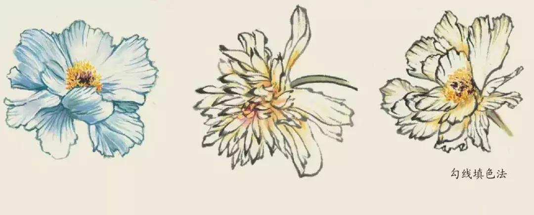 国画中各种花卉的画法,国画花卉画法步骤视频教程