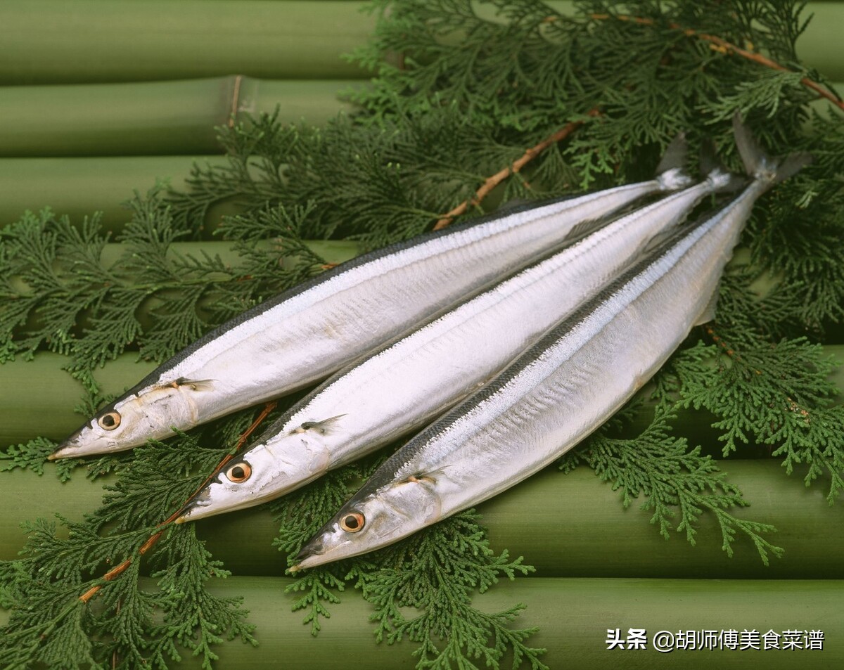 市面上这6种鱼无法人工养殖,人工养殖不了的鱼有哪些