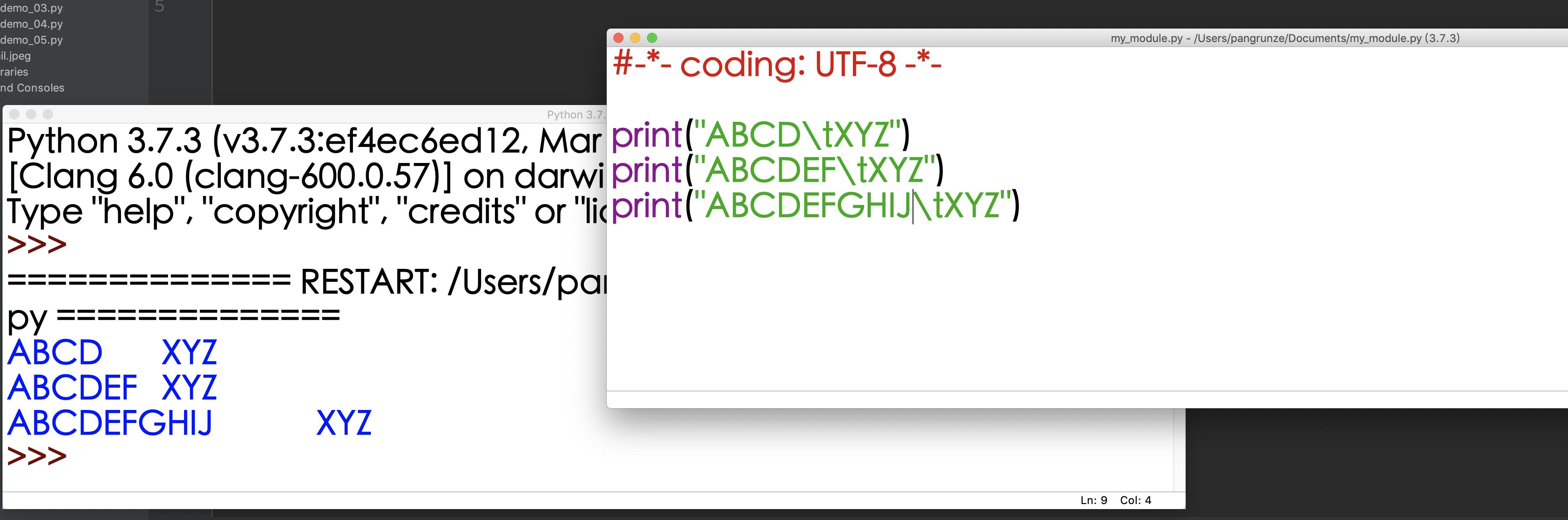 编程中的格式化输出是什么,编程格式化输出