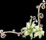 婴儿体重生长发育表对照表2021,0到3个月岁宝宝发育指标