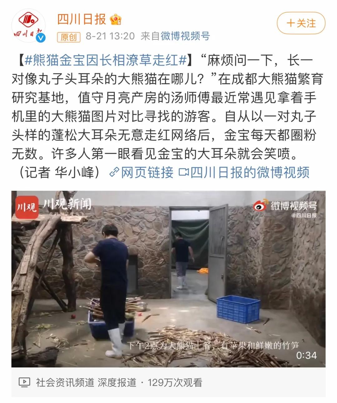 一只玩偶近2000元还被疯抢,“熊猫”内卷真的来了